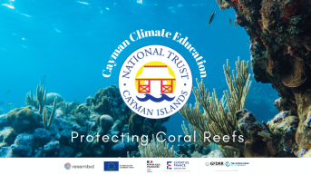 Protecting Coral Reefs