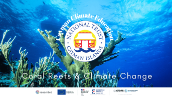 Coral Reefs and Climate Change in Cayman