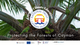 Protecting the Forests of Cayman