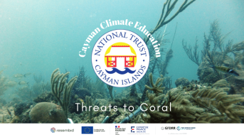 Threats to Coral Reefs