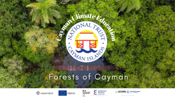 Forests of Cayman