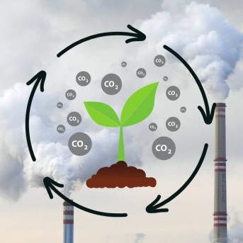 CC2. What is causing the climate to change?